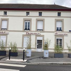 Hôtel François 1er，位于圣迪济耶的酒店