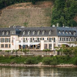 Rheinhotel Schulz，位于温克尔的酒店