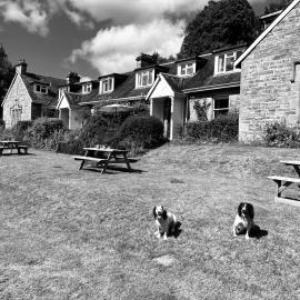 The Cnoc Hotel,位于比尤利的酒店