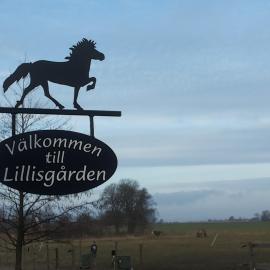 Lägenhet Lillisgården，位于Vallåkra的酒店