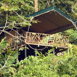 Rafiki Safari Lodge，位于Savegre的酒店