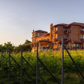 Schuchmann Wines Château,Villas & SPA，位于泰拉维的酒店