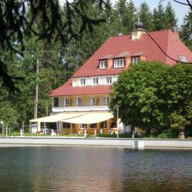 Hotel Waldsee，位于林登贝格的酒店