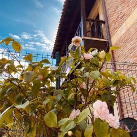 El Tejo de Comillas，位于柯米拉斯的酒店