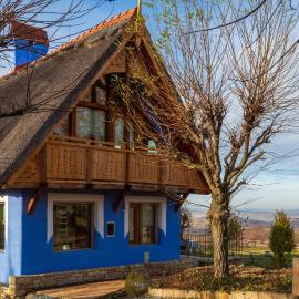 Casele cu Stuf B&B Haus Ulrike，位于Sălicea的酒店