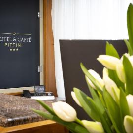 Hotel Pittini，位于杰莫纳德尔夫留利的酒店