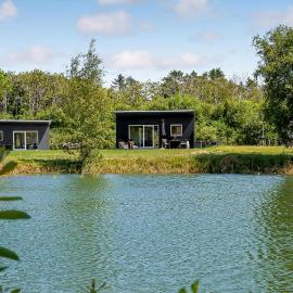 Cozy Home In Ringkøbing With Kitchen，位于灵克宾的酒店