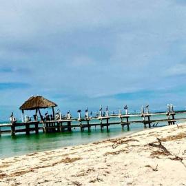 Beachfront apartment with swimming pool. One bedroom，位于塞莱斯通的酒店