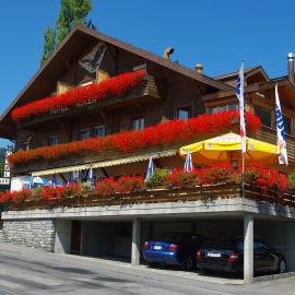 Hotel Adler，位于锡格里斯维尔的酒店