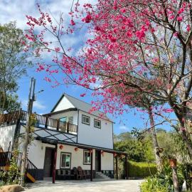 Fei Ying Homestay，位于Tongxiao的酒店