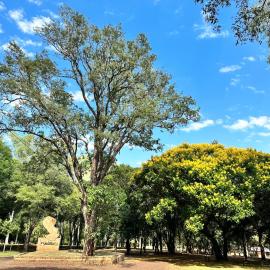 Parque Hotel Manantial，位于Hohenau的酒店
