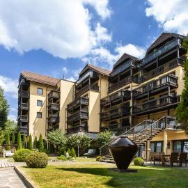 Parkhotel Luise Bad Herrenalb，位于巴特黑雷纳尔布的酒店