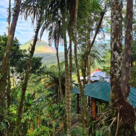 Rimba eco Resort，位于Tomohon的酒店