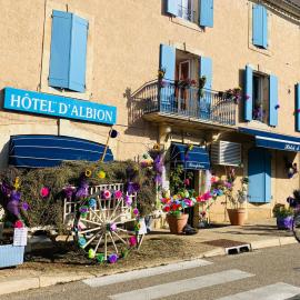 Hotel D'Albion，位于萨路特德沃克吕兹的酒店
