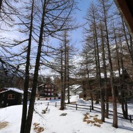 Chalet La Sapinière，位于萨斯费的酒店