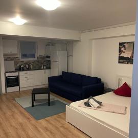 Tranzzit Airport Apartament I，位于奥托佩尼的酒店