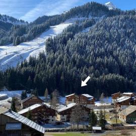 Cocon à chatel，位于沙泰勒的酒店