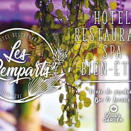 Logis Hôtel Restaurant & Spa les Remparts,位于萨莱的酒店