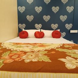 Shree Nivas Home stay，位于斯里瓦德汉的酒店