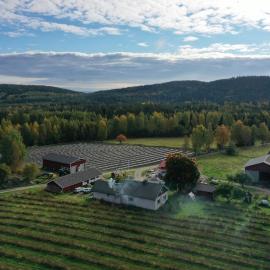 Maatilamatkailu Jänisvaara，位于科林基拉的酒店