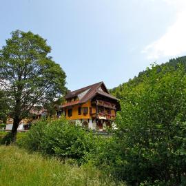 Hotel Gasthaus Hirschen Todtnau Brandenberg Hochschwarzwald Feldberg，位于托特瑙的酒店