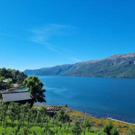 Leilighet v Hardangerfjorden
