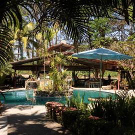 Rio Lindo Hotel，位于多米尼克的酒店