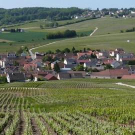 La Longère de Vin'Ay，位于维奈的酒店