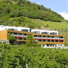 Bio & Wellnesshotel Pazeider - Healing Garden above Meran，位于马伦格的酒店