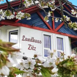 Landhaus Zitz，位于Ranten的酒店