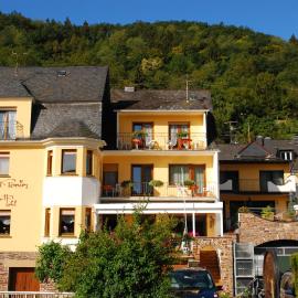 Weingut Pension Gibbert-Pohl，位于布里德尔的酒店