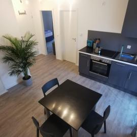 City Suite Gablenberg,位于斯图加特的酒店