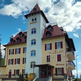 Hotel Regina del Bosco，位于罗恩佐的酒店