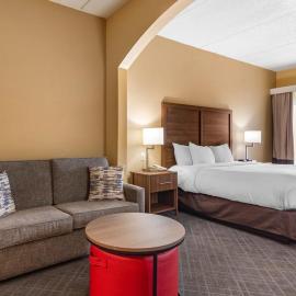 Comfort Inn & Suites at Stone Mountain，位于石头山的酒店