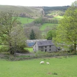 Blaentwrch Farmhouse，位于Llanddewi-Brefi的酒店