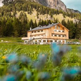 Chalet Alpenrose，位于米苏丽娜的酒店