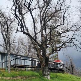 Sequoia Resort，位于Badger的酒店