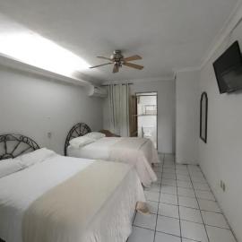 Hotel Abasolo Habitación doble，位于特基拉的酒店