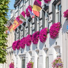 Hotel Old Dutch Bergen op Zoom，位于贝亨奥普佐姆的酒店