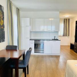 Hotel Swiss Bellevue，位于克罗伊茨林根的酒店