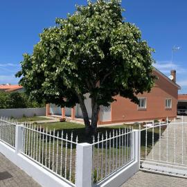 Moradia alegre no centro da Vila da Tocha.，位于托沙的酒店