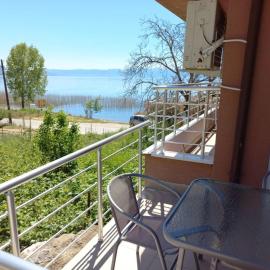 Exclusive Apartments Pestani，位于Elshani的酒店