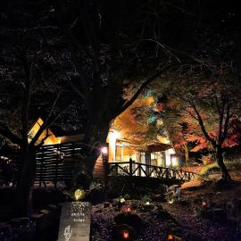 Amrita Lodge -星空に包まれる森の隠れ家- stay & retreat，位于雾岛市的酒店