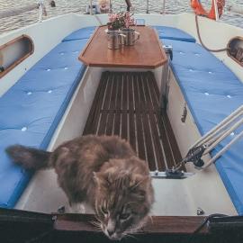 Lady Blue Yacht in Nida，位于奈达的酒店