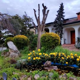 Villa Berra - Via Postale 63/A，位于Berra的酒店