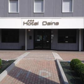 Hotel Daina，位于达尔米内的酒店