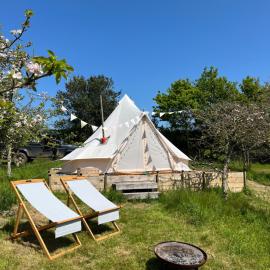 Bowhayes Farm - Camping & Glamping - Bell Tents - Cider Orchard，位于Venn Ottery的酒店