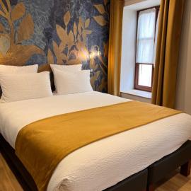 Logis Hôtel de france，位于La Côte-Saint-André的酒店