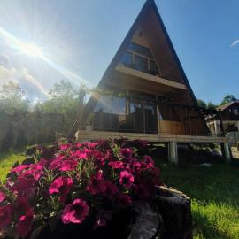 Cabana de Vis Valea Prahovei - ciubăr și saună la munte，位于Talea的酒店