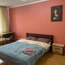 Apartment in Shoduar's park，位于日托米尔的酒店